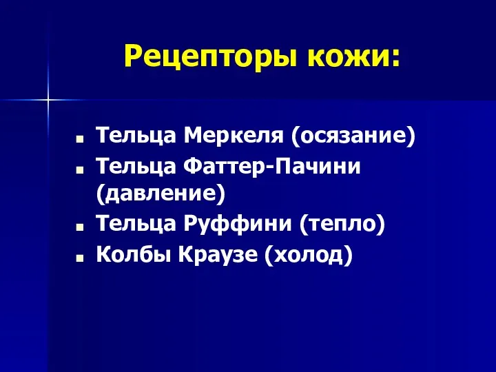 Рецепторы кожи: Тельца Меркеля (осязание) Тельца Фаттер-Пачини (давление) Тельца Руффини (тепло) Колбы Краузе (холод)