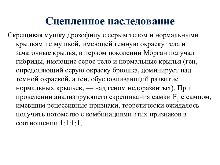 Сцепленное наследование Скрещивая мушку дрозофилу с серым телом и нормальными