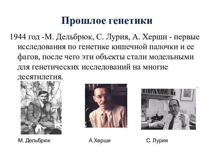 Прошлое генетики 1944 год -М. Дельбрюк, С. Лурия, А. Херши