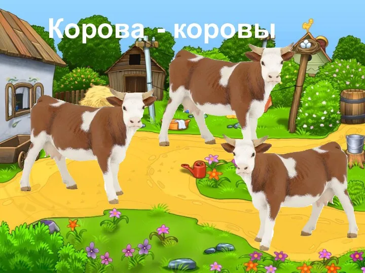 Корова - коровы