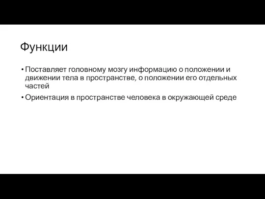 Функции Поставляет головному мозгу информацию о положении и движении тела