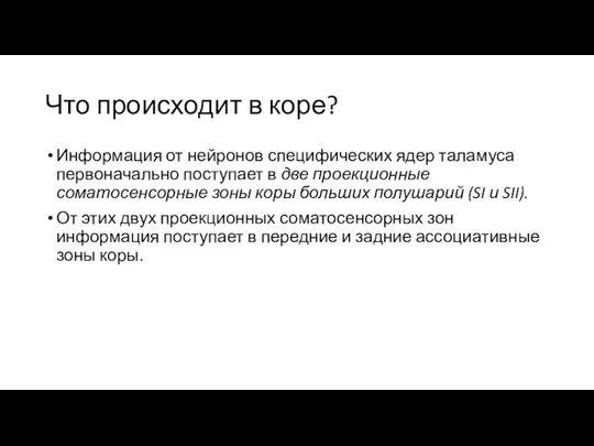 Что происходит в коре? Информация от нейронов специфических ядер таламуса