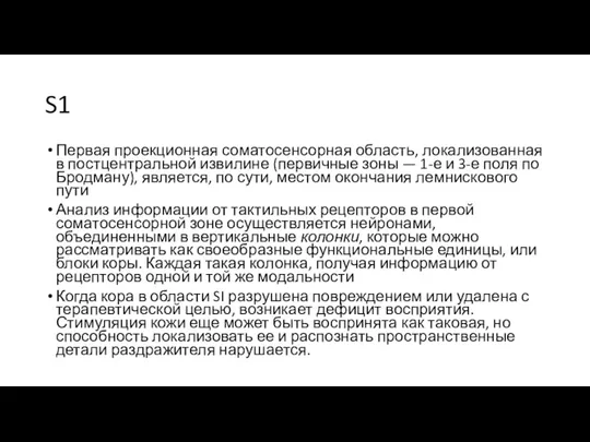 S1 Первая проекционная соматосенсорная область, локализованная в постцентральной извилине (первичные