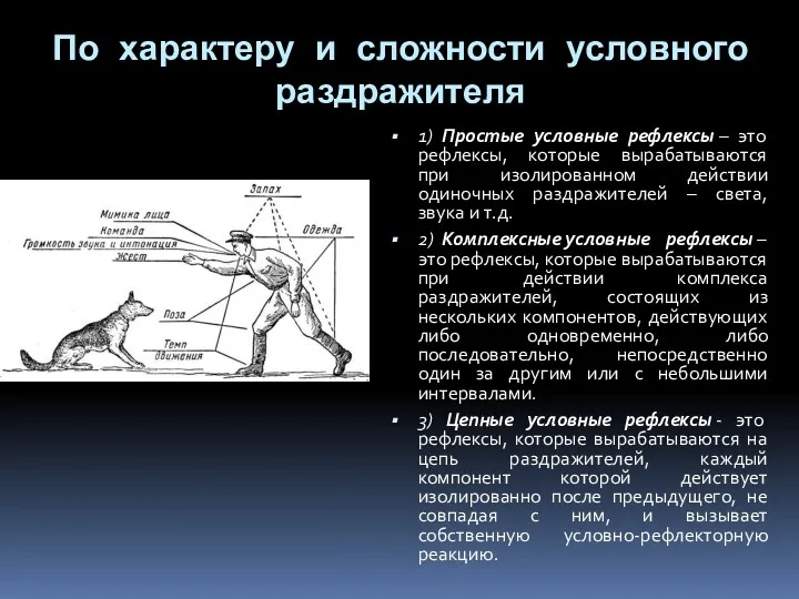 По характеру и сложности условного раздражителя 1) Простые условные рефлексы – это рефлексы,