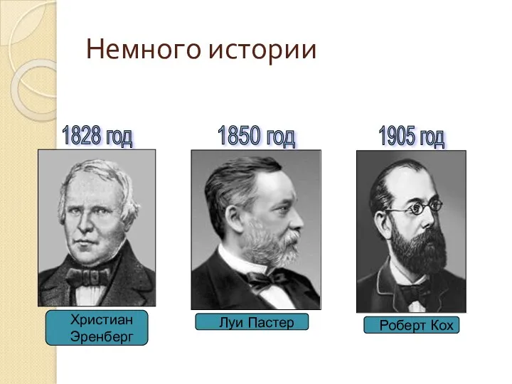 Немного истории