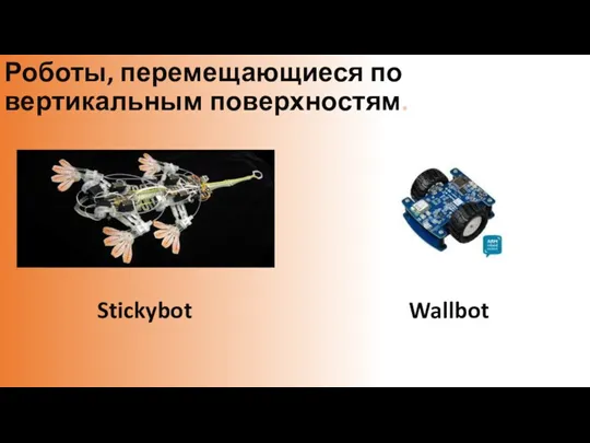 Роботы, перемещающиеся по вертикальным поверхностям. Stickybot Wallbot