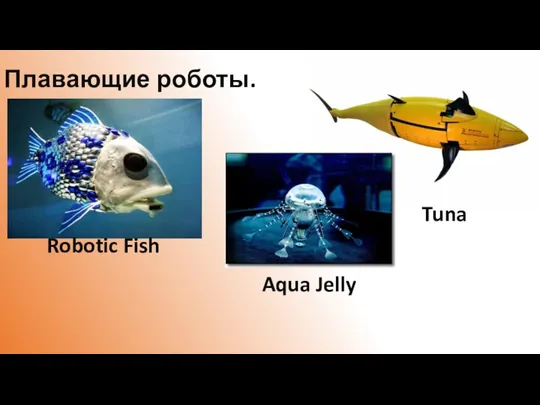 Плавающие роботы. Robotic Fish Tuna Aqua Jelly
