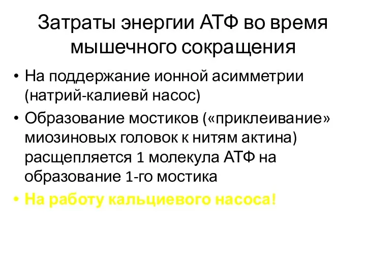 Затраты энергии АТФ во время мышечного сокращения На поддержание ионной асимметрии (натрий-калиевй насос)