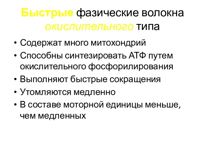 Быстрые фазические волокна окислительного типа Содержат много митохондрий Способны синтезировать АТФ путем окислительного