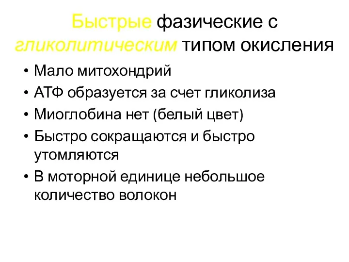 Быстрые фазические с гликолитическим типом окисления Мало митохондрий АТФ образуется за счет гликолиза