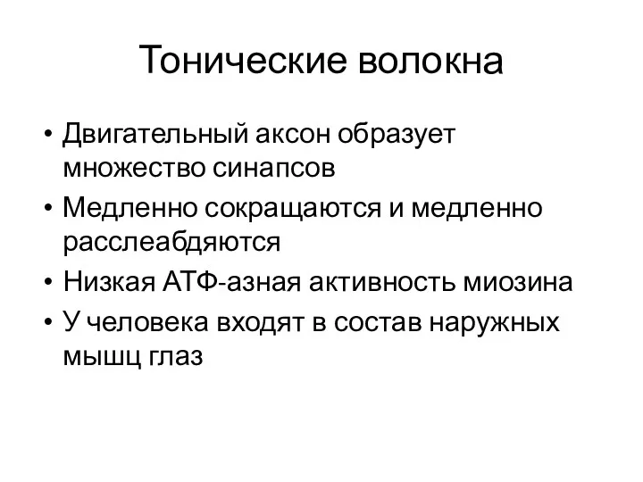 Тонические волокна Двигательный аксон образует множество синапсов Медленно сокращаются и медленно расслеабдяются Низкая