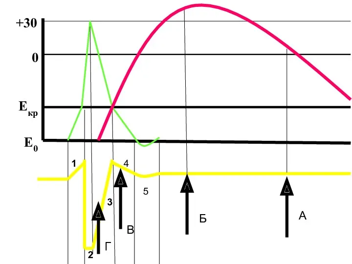 1 2 3 4 5 Е0 Екр 0 +30 В Г А Б