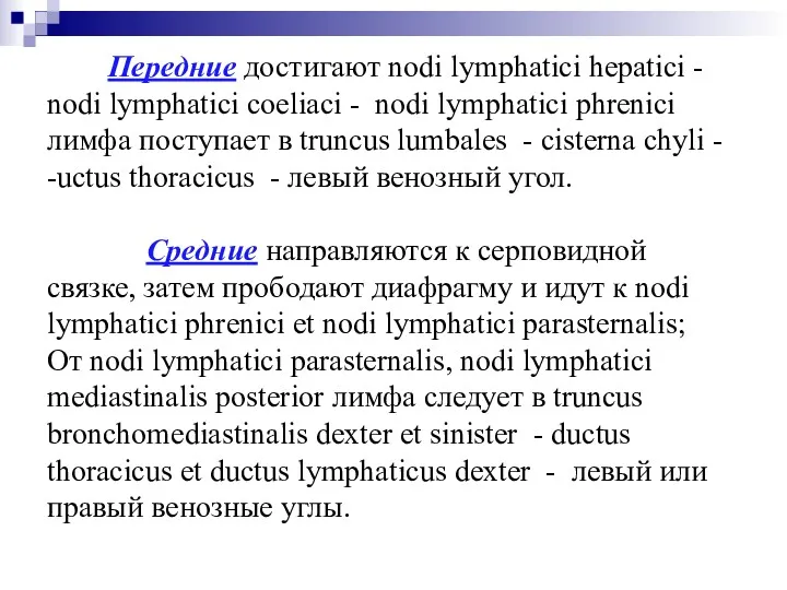 Передние достигают nodi lymphatici hepatici - nodi lymphatici coeliaci -