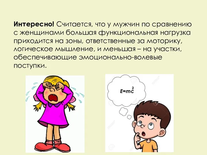 Интересно! Считается, что у мужчин по сравнению с женщинами большая