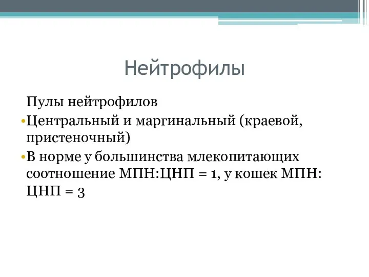 Нейтрофилы Пулы нейтрофилов Центральный и маргинальный (краевой, пристеночный) В норме