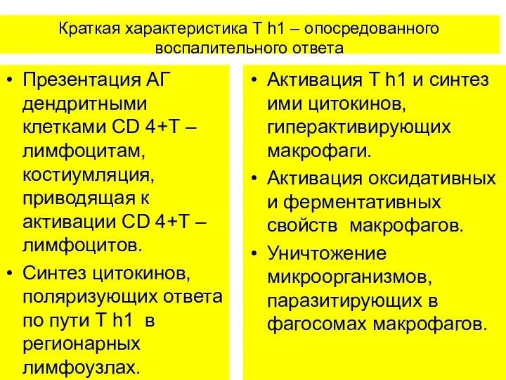 Краткая характеристика T h1 – опосредованного воспалительного ответа Презентация АГ