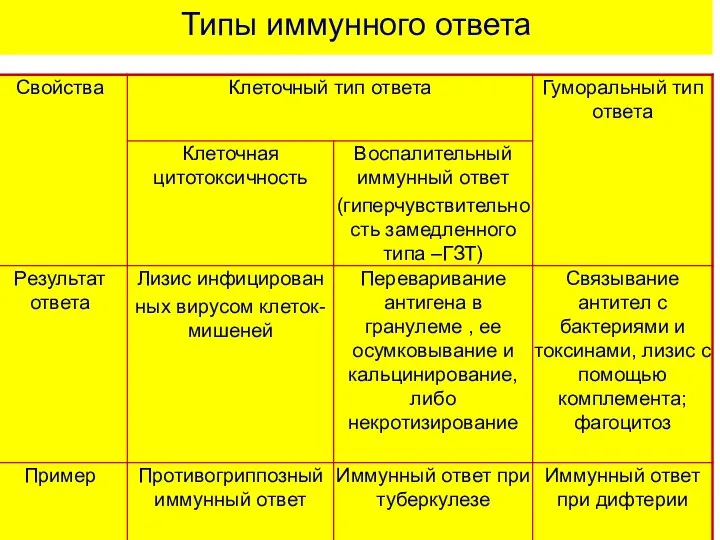 Типы иммунного ответа