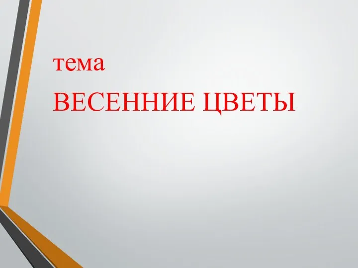 тема ВЕСЕННИЕ ЦВЕТЫ