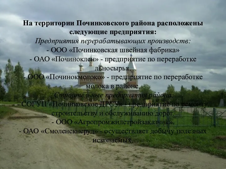 На территории Починковского района расположены следующие предприятия: Предприятия перерабатывающих производств: