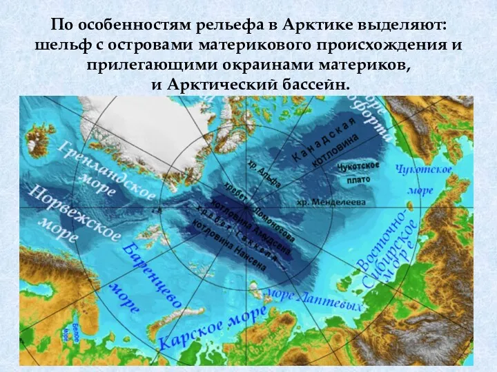 По особенностям рельефа в Арктике выделяют: шельф с островами материкового