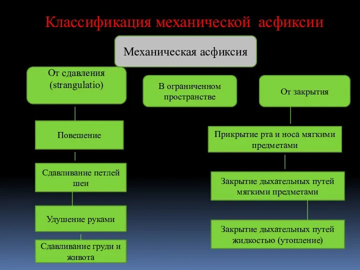 Классификация механической асфиксии Механическая асфиксия От сдавления (strangulatio) В ограниченном