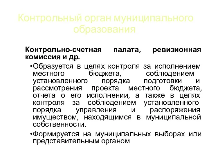 Контрольный орган муниципального образования Контрольно-счетная палата, ревизионная комиссия и др.