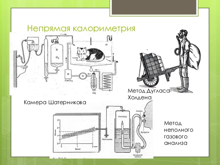 Непрямая калориметрия Камера Шатерникова Метод Дугласа-Холдена Метод неполного газового анализа