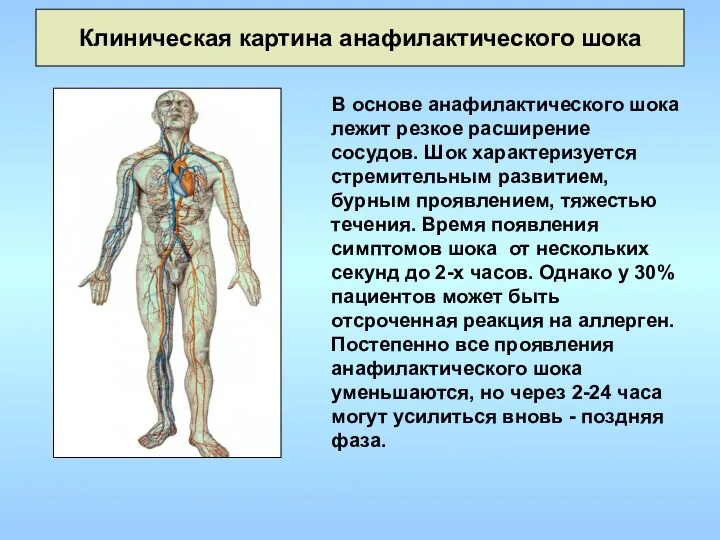 Клиническая картина анафилактического шока В основе анафилактического шока лежит резкое