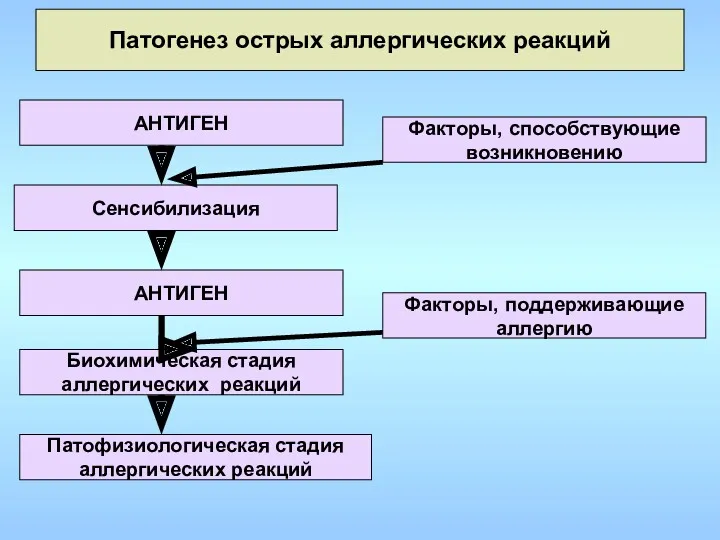 Патогенез острых аллергических реакций Патофизиологическая стадия аллергических реакций Биохимическая стадия