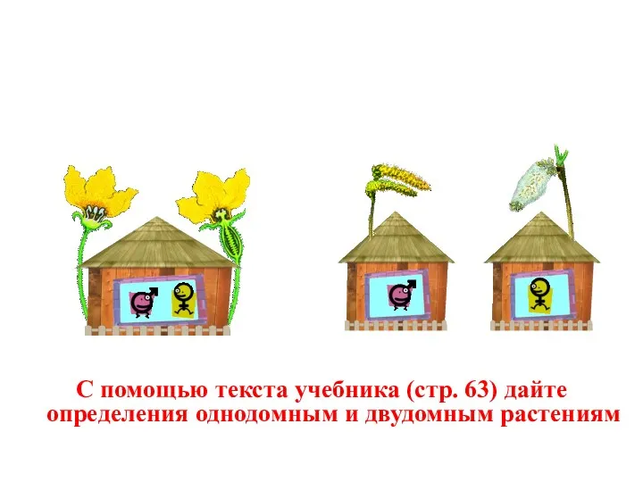 С помощью текста учебника (стр. 63) дайте определения однодомным и двудомным растениям