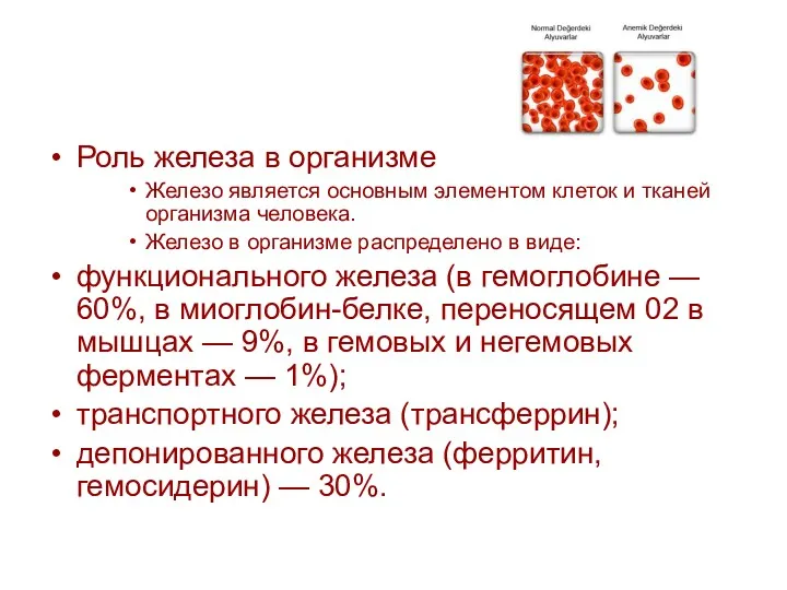 Роль железа в организме Железо является основным элементом клеток и