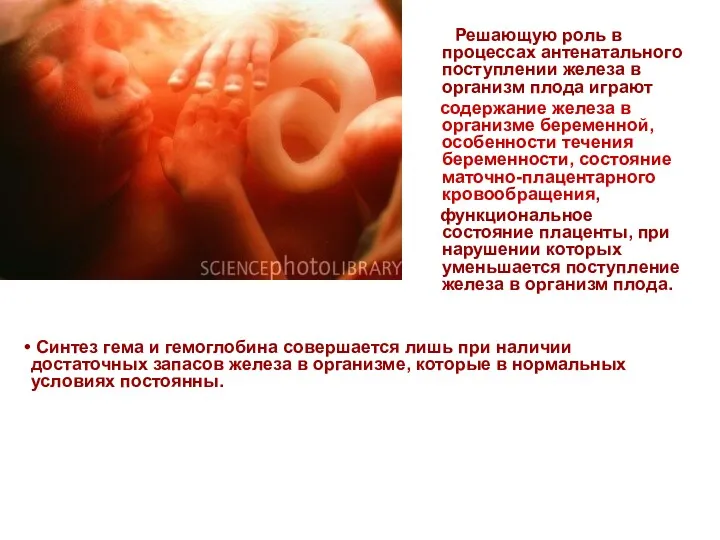 Решающую роль в процессах антенатального поступлении железа в организм плода