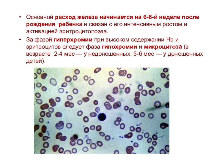 Основной расход железа начинается на 6-8-й неделе после рождения ребенка