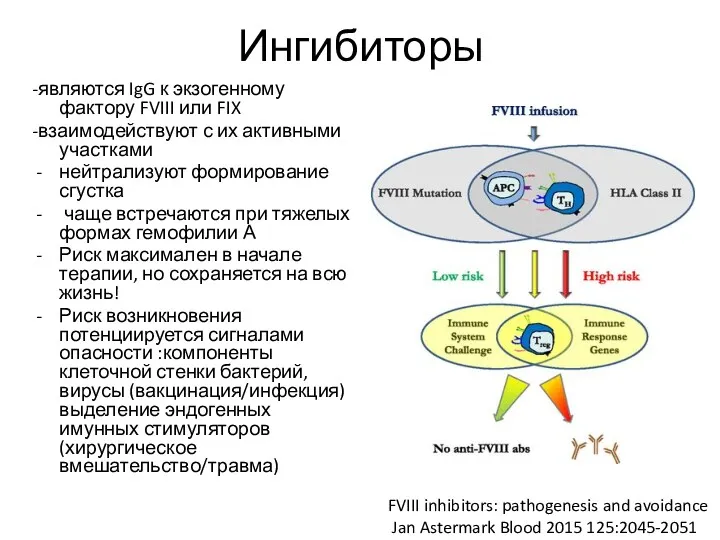 Ингибиторы -являются IgG к экзогенному фактору FVIII или FIX -взаимодействуют с их активными