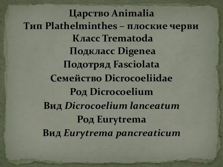 Царство Animalia Тип Plathelminthes – плоские черви Класс Trematoda Подкласс Digenea Подотряд Fasciolata
