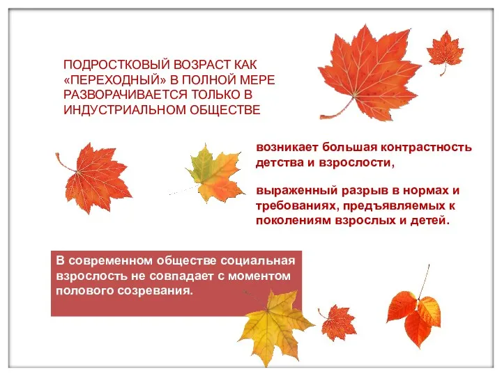 В современном обществе социальная взрослость не совпадает с моментом полового