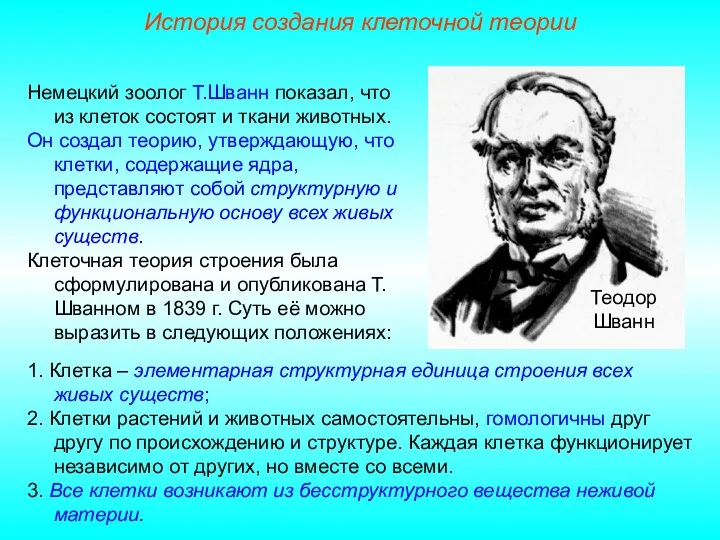 Теодор Шванн Немецкий зоолог Т.Шванн показал, что из клеток состоят