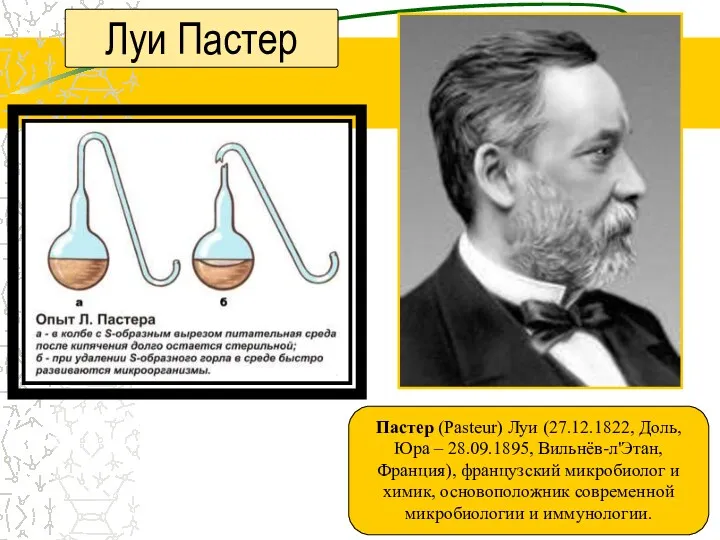 Луи Пастер Пастер (Pasteur) Луи (27.12.1822, Доль, Юра – 28.09.1895, Вильнёв-л'Этан, Франция), французский