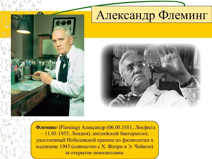 Александр Флеминг Флеминг (Fleming) Александр (06.08.1881, Локфилд – 11.03.1955, Лондон),