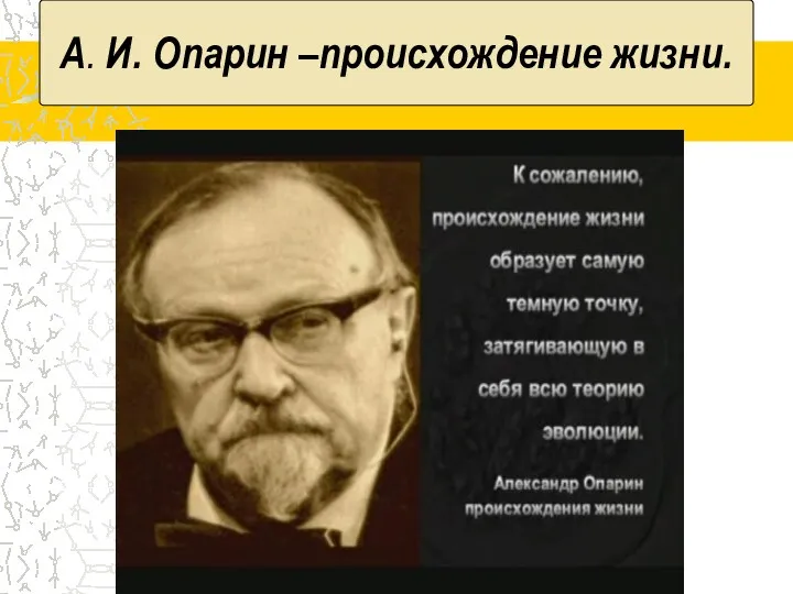 А. И. Опарин –происхождение жизни.