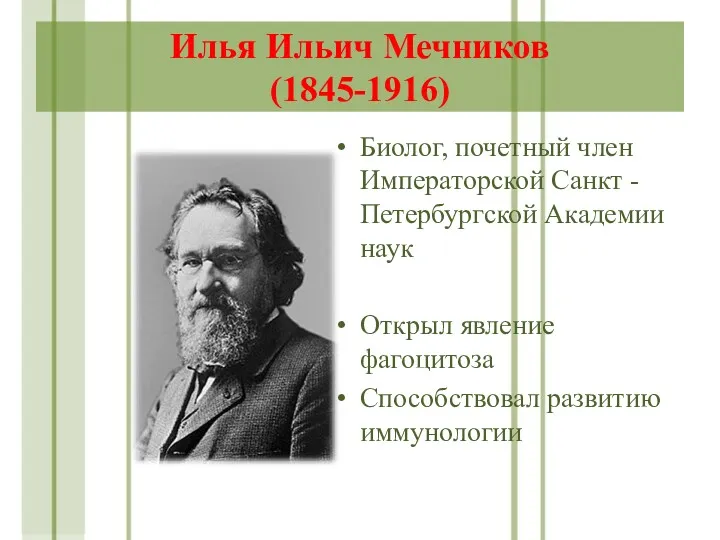 Илья Ильич Мечников (1845-1916) Биолог, почетный член Императорской Санкт -Петербургской