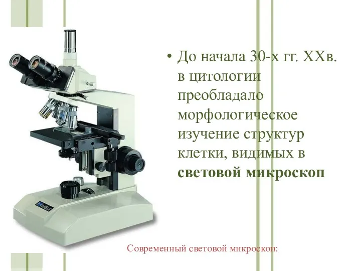 До начала 30-х гг. ХХв. в цитологии преобладало морфологическое изучение