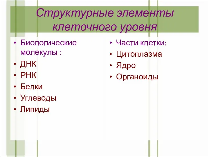 Структурные элементы клеточного уровня Биологические молекулы : ДНК РНК Белки