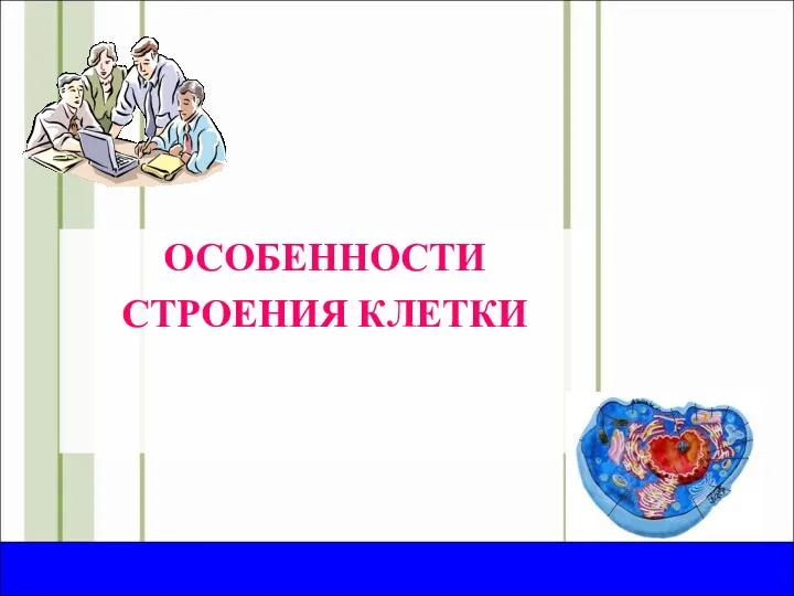 2008 год ОСОБЕННОСТИ СТРОЕНИЯ КЛЕТКИ