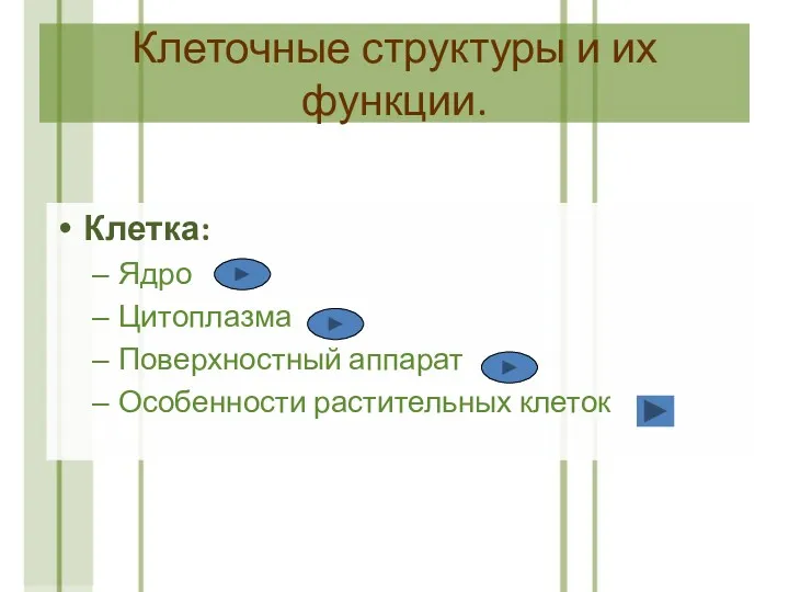 Клеточные структуры и их функции. Клетка: Ядро Цитоплазма Поверхностный аппарат Особенности растительных клеток