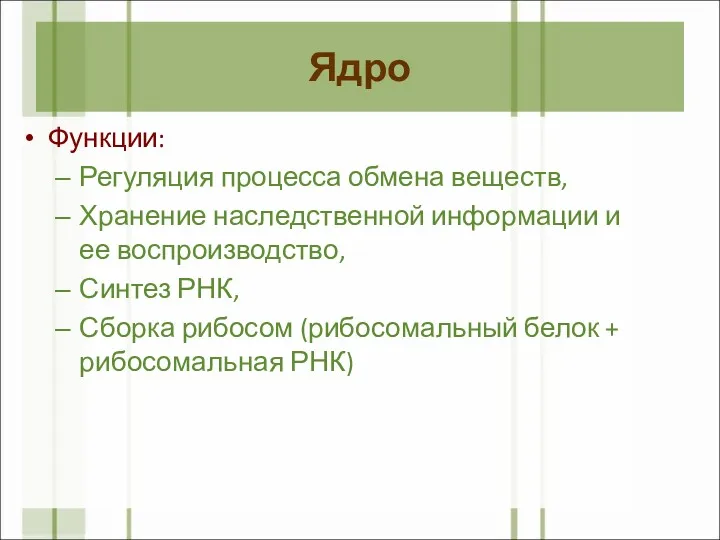 Ядро Функции: Регуляция процесса обмена веществ, Хранение наследственной информации и