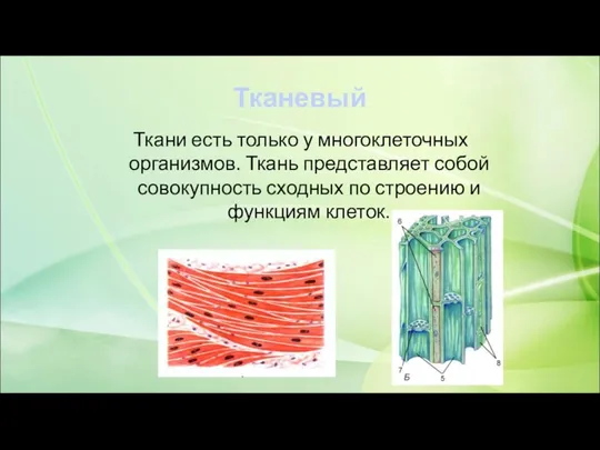Тканевый Ткани есть только у многоклеточных организмов. Ткань представляет собой совокупность сходных по