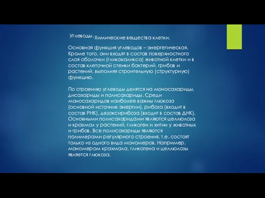 Химические вещества клетки. Углеводы. Основная функция углеводов – энергетическая. Кроме