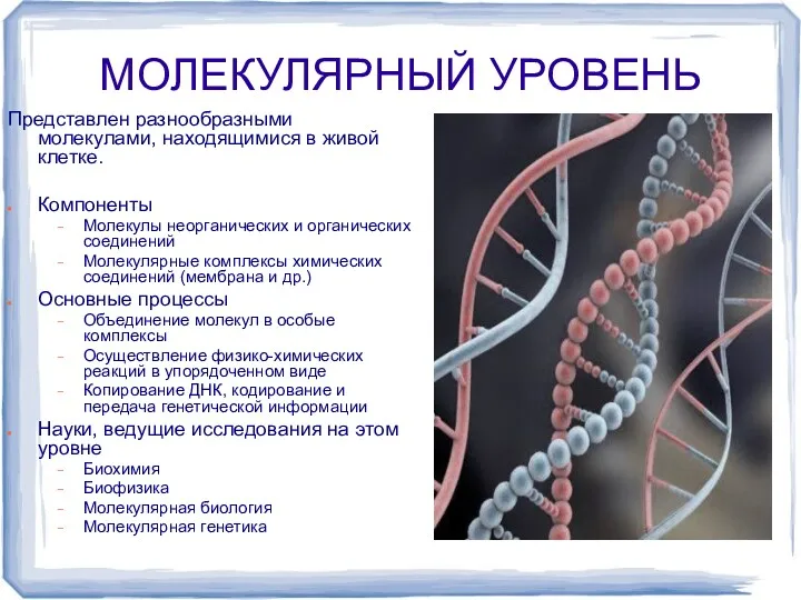 МОЛЕКУЛЯРНЫЙ УРОВЕНЬ Представлен разнообразными молекулами, находящимися в живой клетке. Компоненты