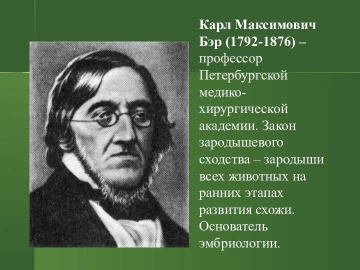 Карл Максимович Бэр (1792-1876) – профессор Петербургской медико-хирургической академии. Закон зародышевого сходства –